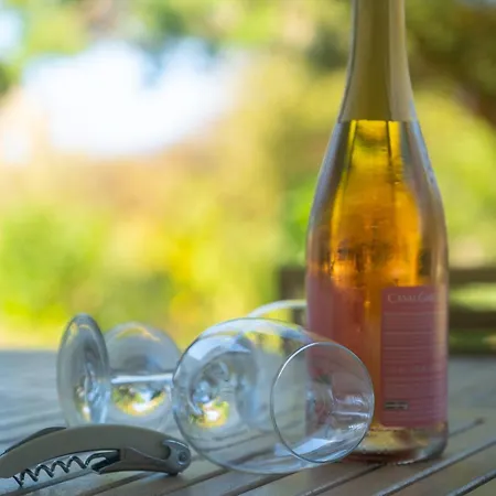 Casa de Férias Burgo D Sancho I 17